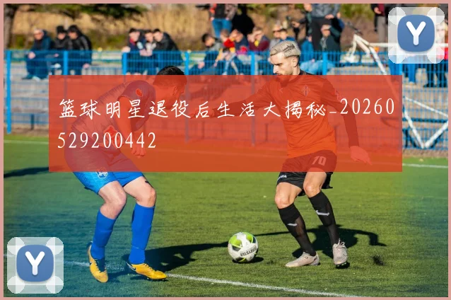 篮球明星退役后生活大揭秘_20260529200442