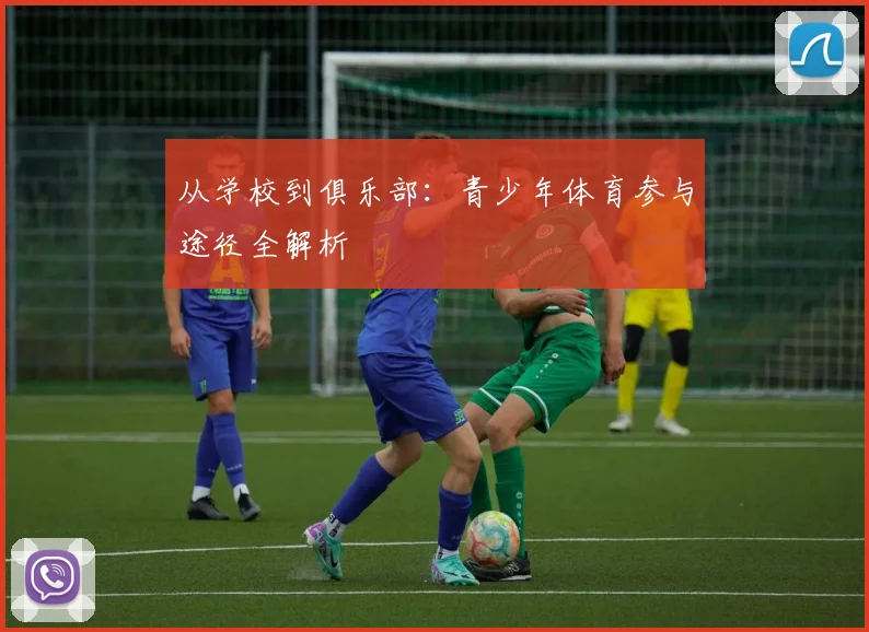 从学校到俱乐部:青少年体育参与途径全解析