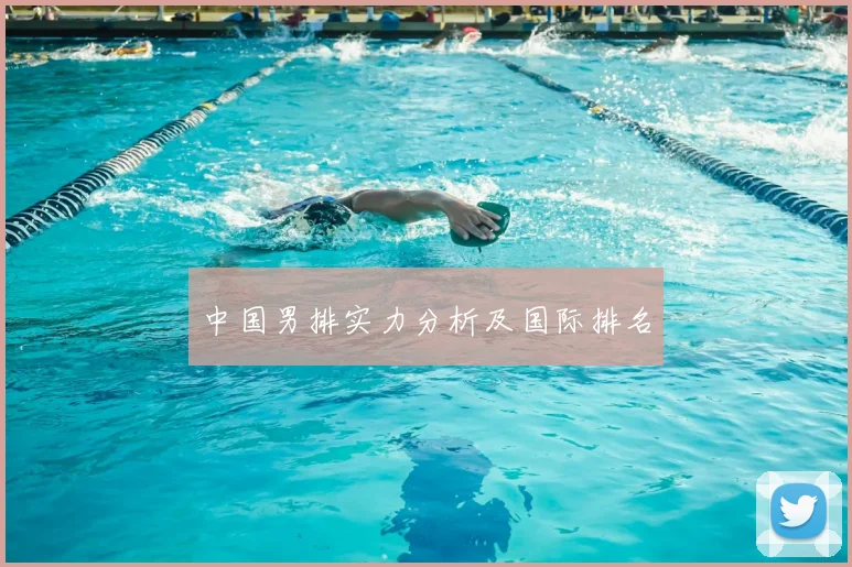 中国男排实力分析及国际排名